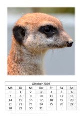 Oktober_Erdmännchen.pdf